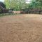 Gravel Driveways